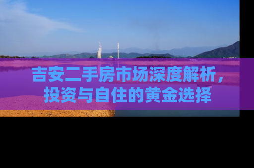 吉安二手房市场深度解析，投资与自住的黄金选择