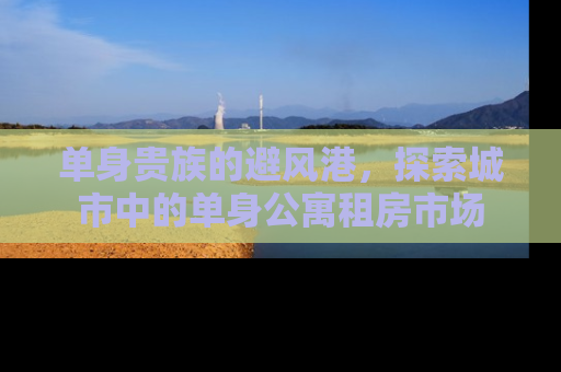 单身贵族的避风港，探索城市中的单身公寓租房市场