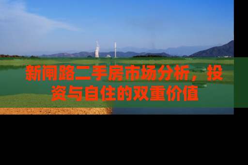 新闸路二手房市场分析，投资与自住的双重价值