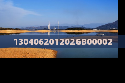 130406201202GB00002