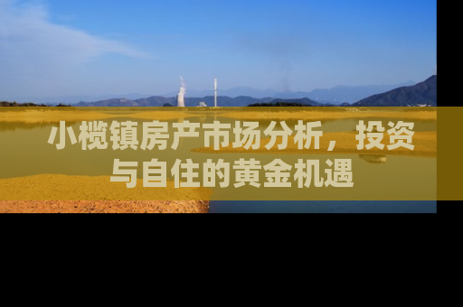 小榄镇房产市场分析，投资与自住的黄金机遇