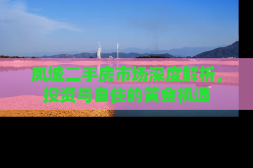 凤城二手房市场深度解析，投资与自住的黄金机遇