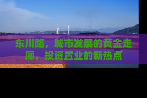 东川路，城市发展的黄金走廊，投资置业的新热点