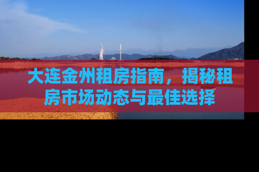 大连金州租房指南，揭秘租房市场动态与最佳选择