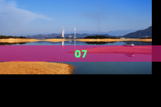 07