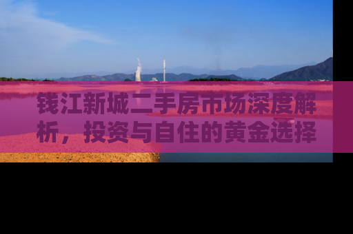 钱江新城二手房市场深度解析，投资与自住的黄金选择