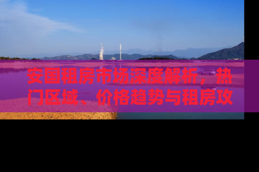 安国租房市场深度解析，热门区域、价格趋势与租房攻略