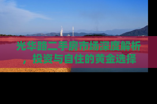 光华路二手房市场深度解析，投资与自住的黄金选择