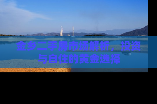 金乡二手房市场解析，投资与自住的黄金选择