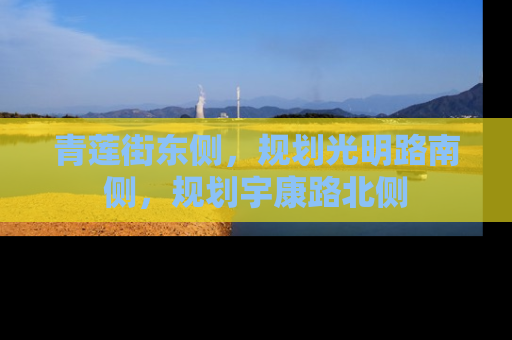 青莲街东侧，规划光明路南侧，规划宇康路北侧