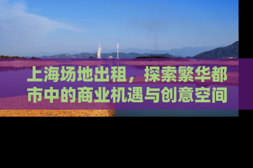 上海场地出租，探索繁华都市中的商业机遇与创意空间
