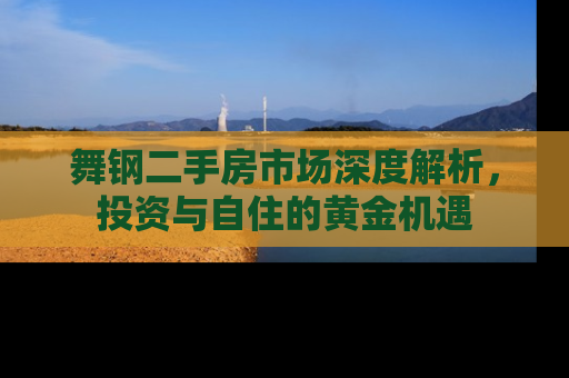 舞钢二手房市场深度解析，投资与自住的黄金机遇