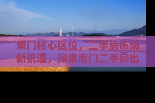 南门核心区位，二手房市场新机遇，探索南门二手房出售的黄金价值