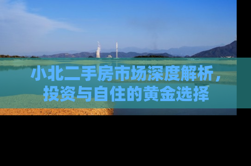 小北二手房市场深度解析，投资与自住的黄金选择