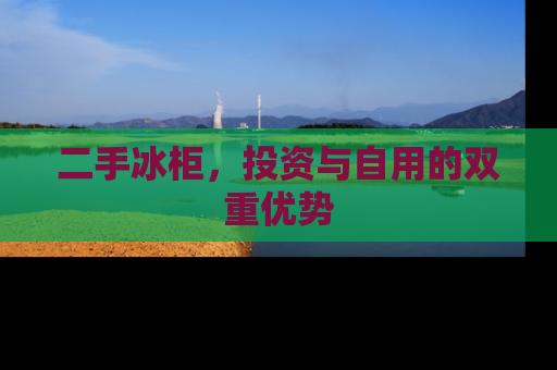二手冰柜，投资与自用的双重优势