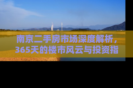 南京二手房市场深度解析，365天的楼市风云与投资指南