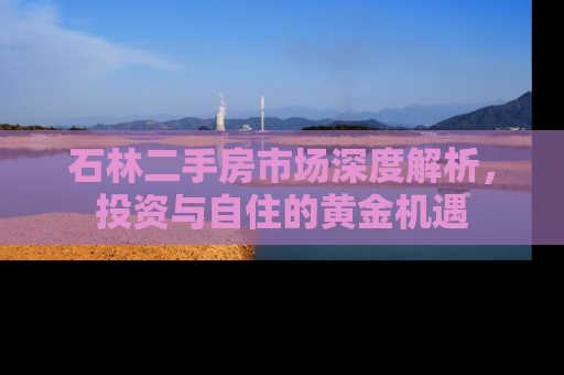 石林二手房市场深度解析，投资与自住的黄金机遇