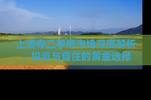 上清寺二手房市场深度解析，投资与自住的黄金选择