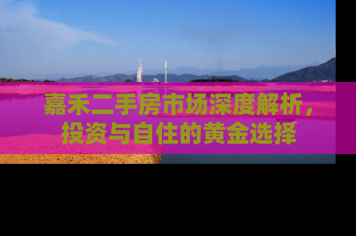 嘉禾二手房市场深度解析，投资与自住的黄金选择