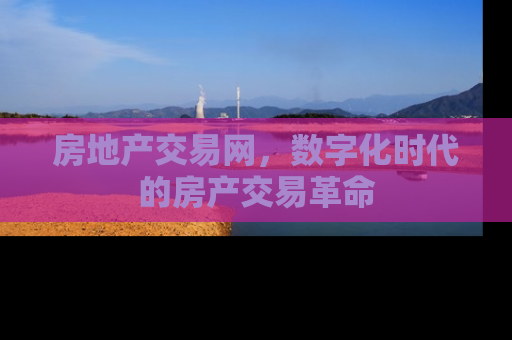 房地产交易网，数字化时代的房产交易革命