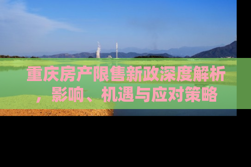 重庆房产限售新政深度解析，影响、机遇与应对策略