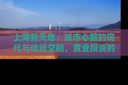 上海新天地，城市心脏的现代与传统交融，置业投资的新热点