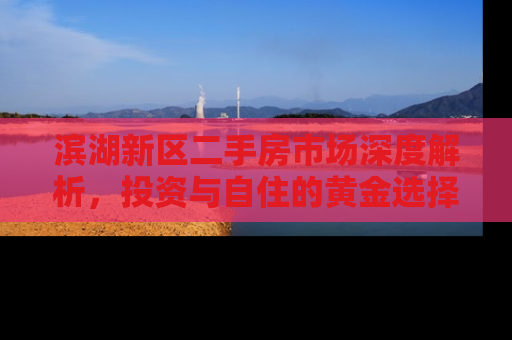 滨湖新区二手房市场深度解析，投资与自住的黄金选择