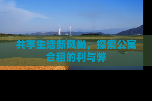 共享生活新风尚，探索公寓合租的利与弊