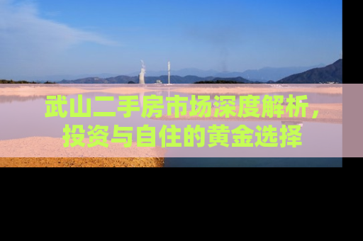武山二手房市场深度解析，投资与自住的黄金选择