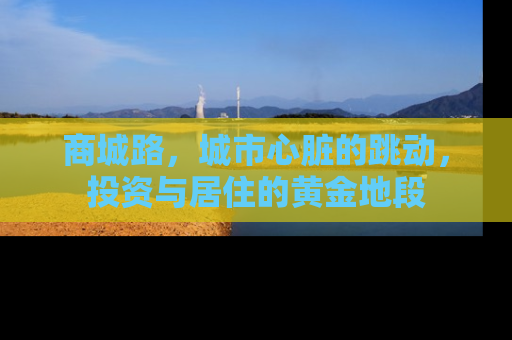 商城路，城市心脏的跳动，投资与居住的黄金地段