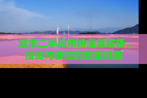宜丰二手房市场深度解析，投资与自住的双重机遇