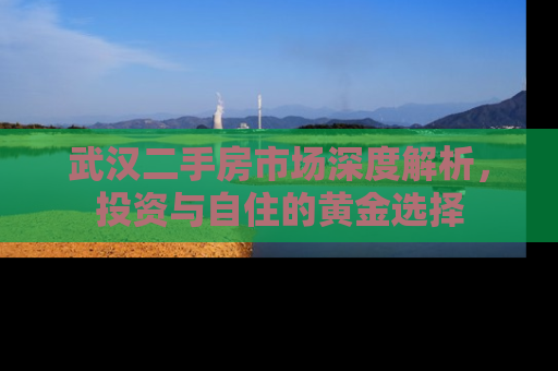 武汉二手房市场深度解析，投资与自住的黄金选择