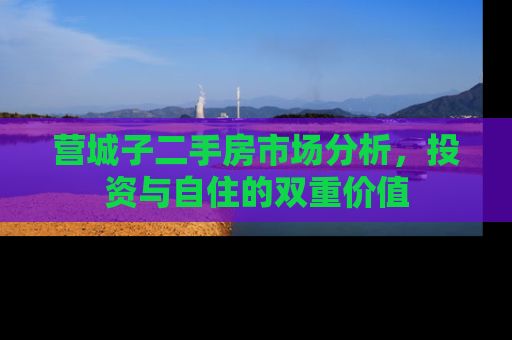 营城子二手房市场分析，投资与自住的双重价值