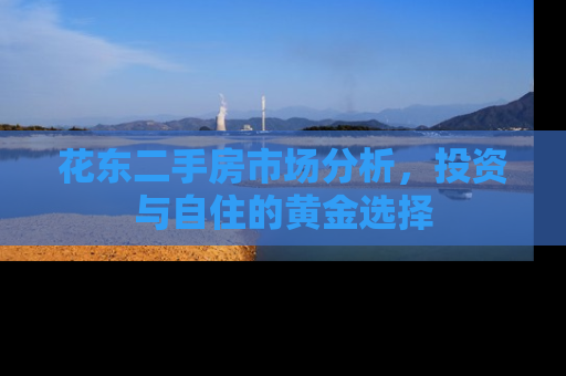 花东二手房市场分析，投资与自住的黄金选择