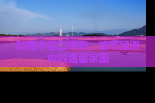 新苑小区二手房，城市绿洲中的温馨家园