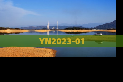 YN2023-01
