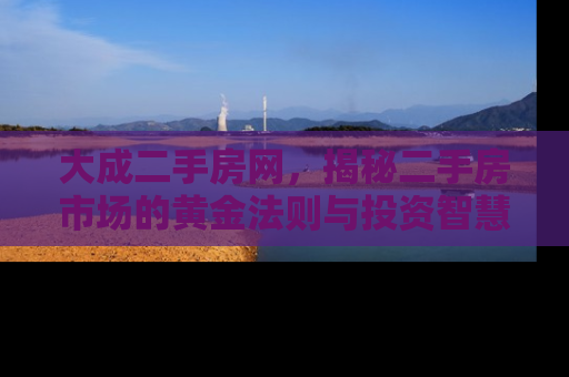 大成二手房网，揭秘二手房市场的黄金法则与投资智慧