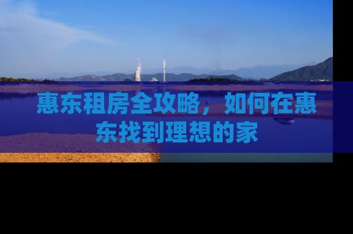 惠东租房全攻略，如何在惠东找到理想的家