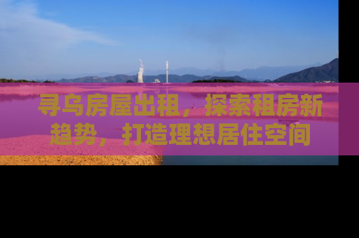 寻乌房屋出租，探索租房新趋势，打造理想居住空间