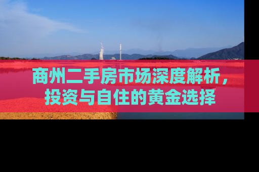商州二手房市场深度解析，投资与自住的黄金选择