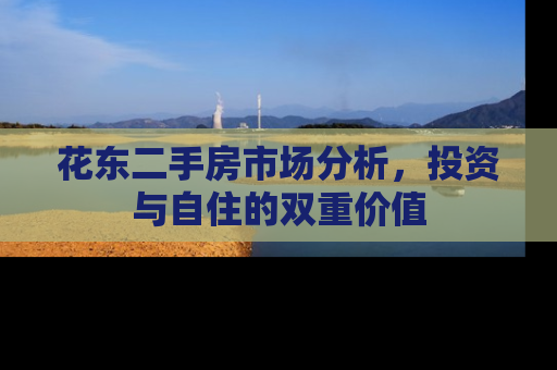 花东二手房市场分析，投资与自住的双重价值