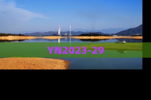 YN2023-29
