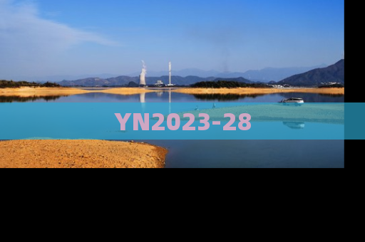 YN2023-28
