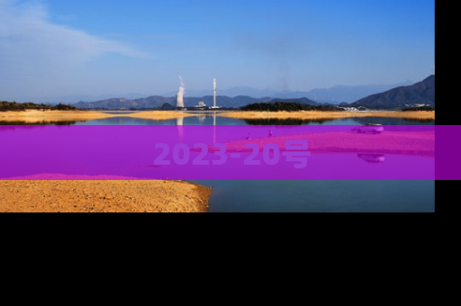 2023-20号