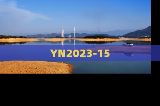 YN2023-15