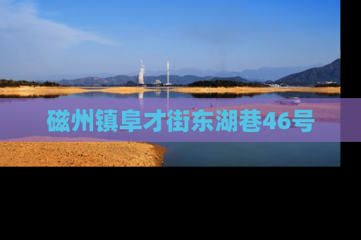磁州镇阜才街东湖巷46号