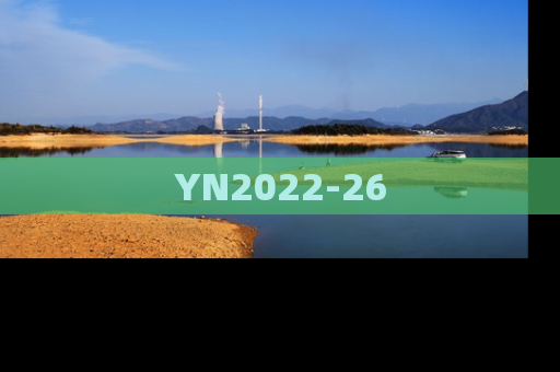 YN2022-26