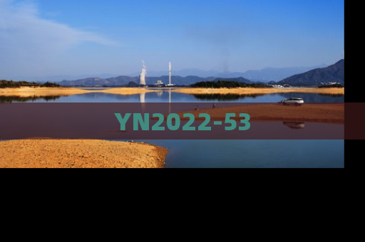 YN2022-53