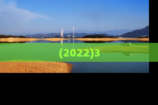 (2022)3