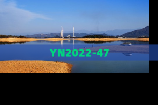 YN2022-47